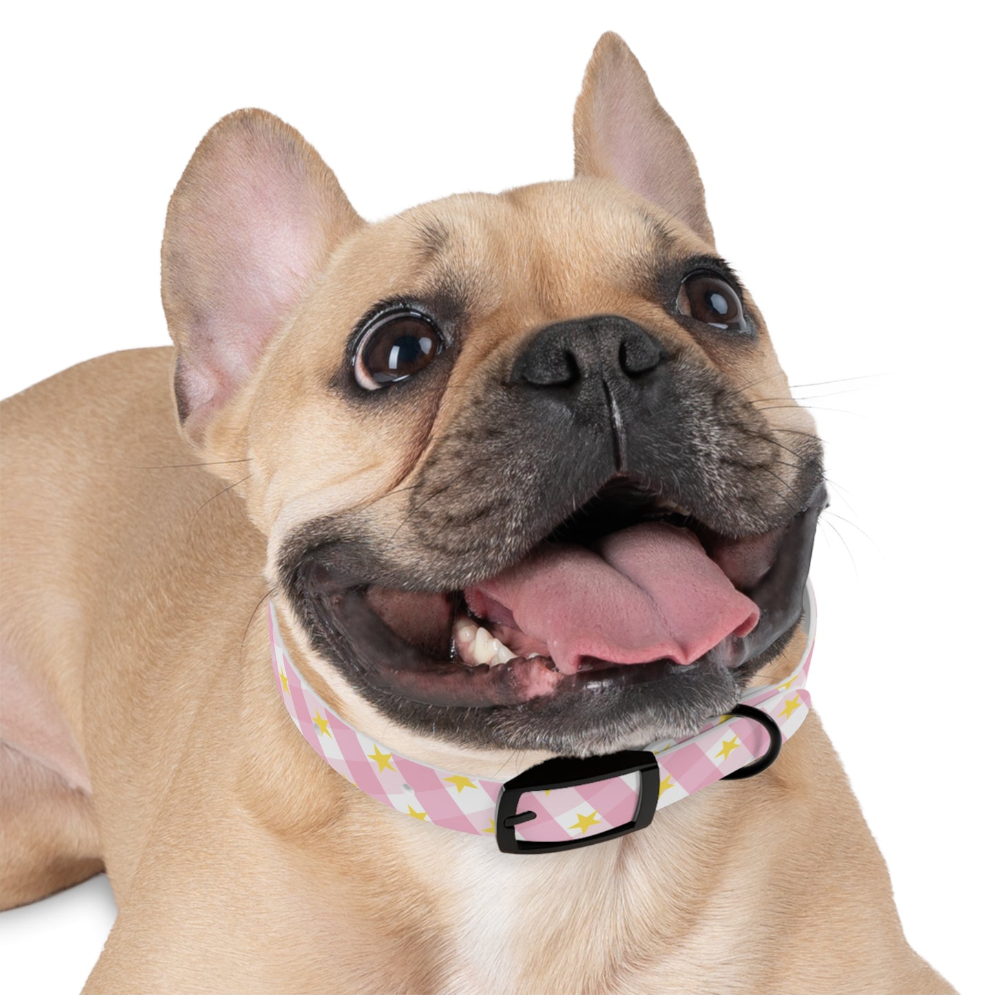 Pink Gingham Twinkle Star Pattern Dog Collar