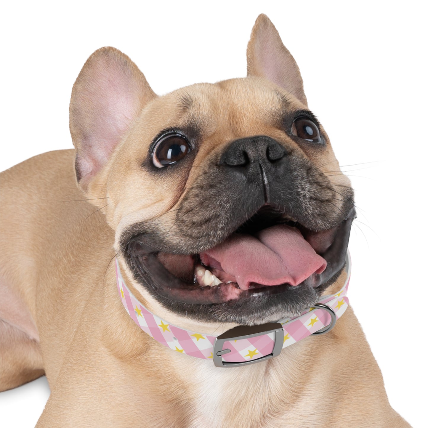 Pink Gingham Twinkle Star Pattern Dog Collar