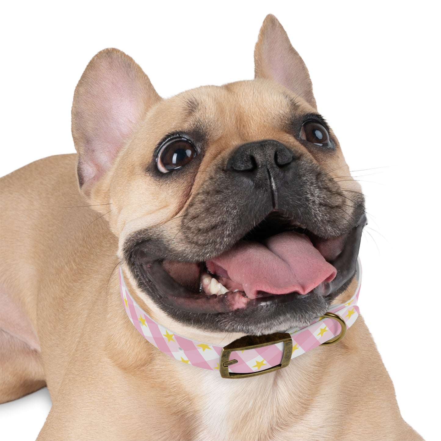 Pink Gingham Twinkle Star Pattern Dog Collar
