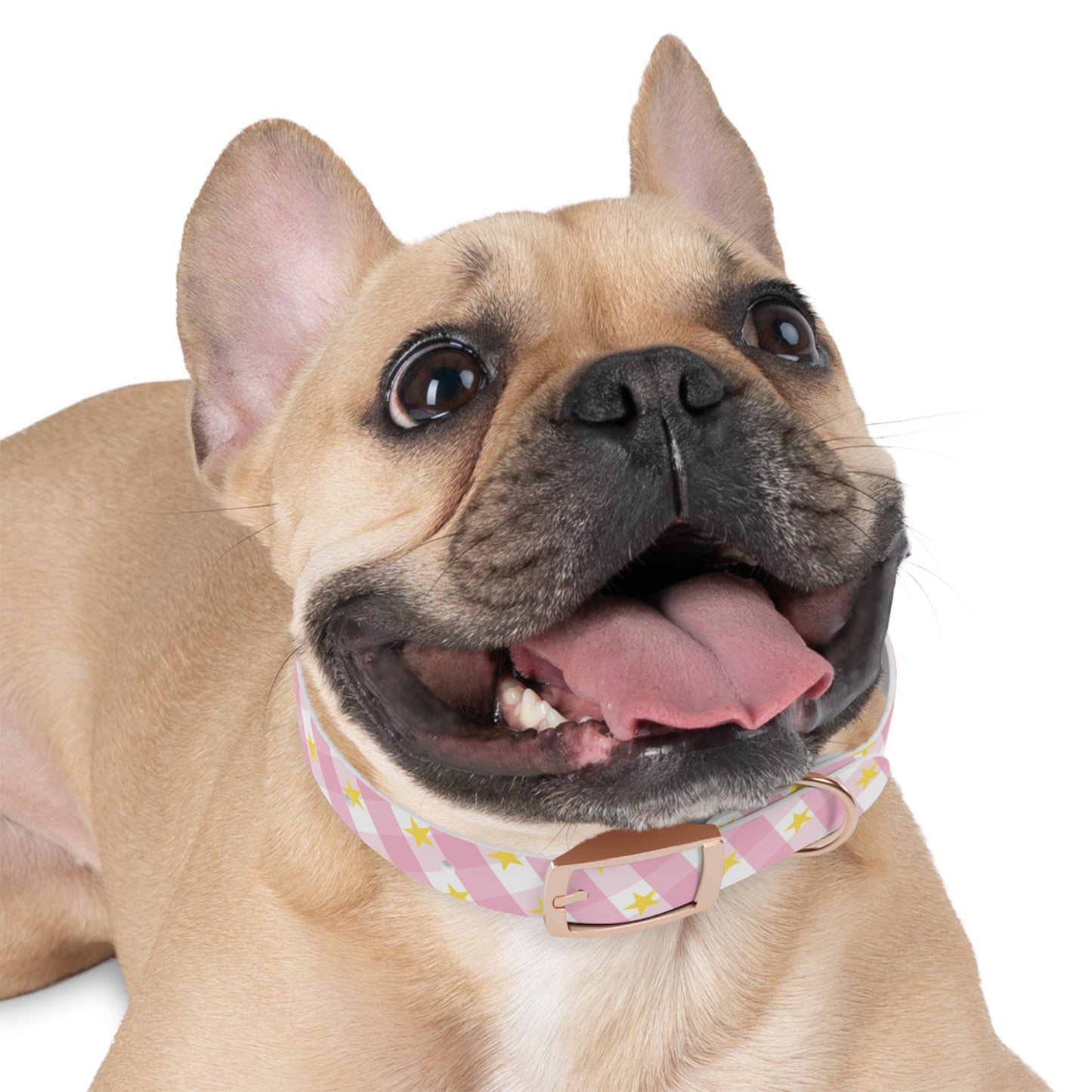 Pink Gingham Twinkle Star Pattern Dog Collar