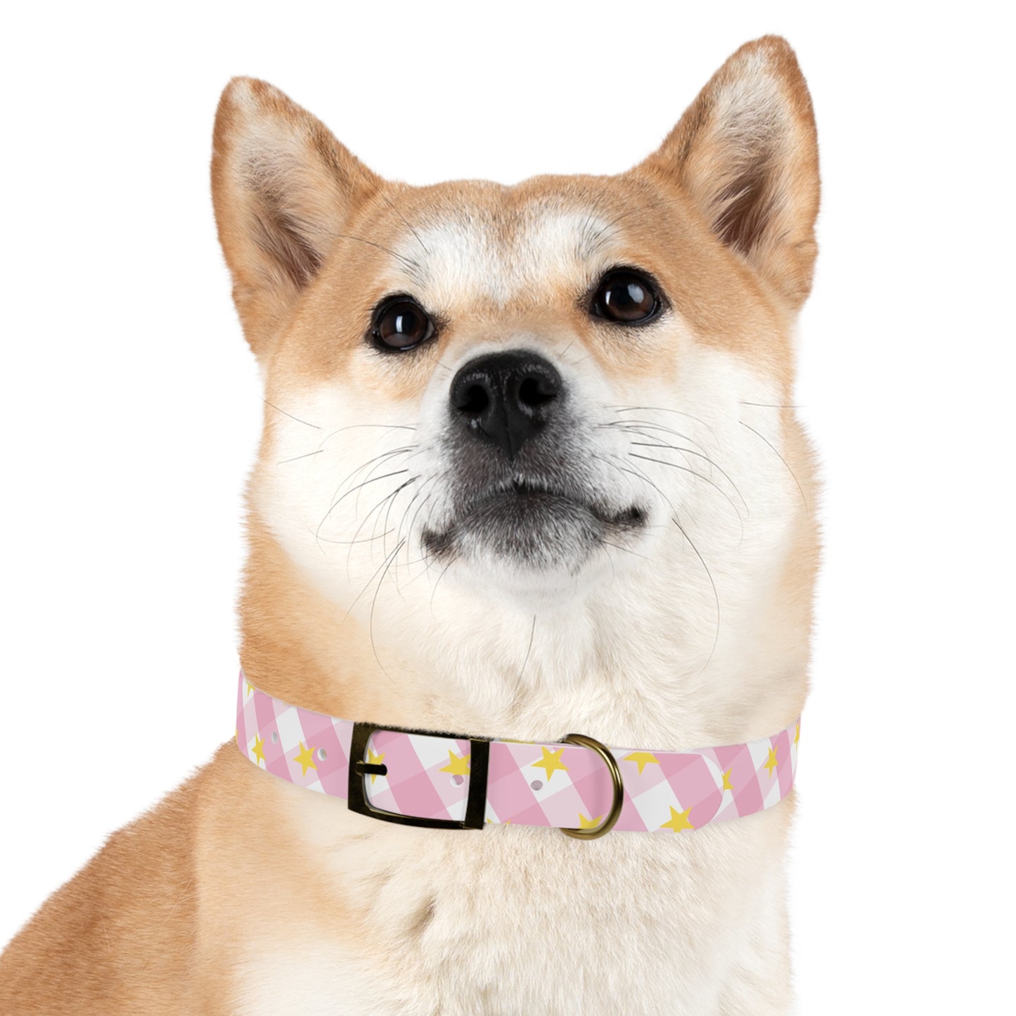 Pink Gingham Twinkle Star Pattern Dog Collar